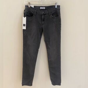 NWT | James Jeans | Twiggy Skinny Jeans | Slate Gray | Size 29